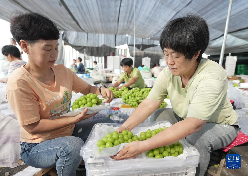 可吸式捕鱼发电机后级